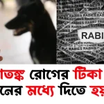 জলাতঙ্ক রোগের টিকা কত দিনের মধ্যে দিতে হয়